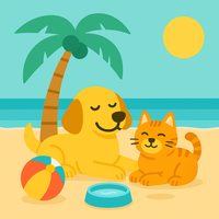 Verano para tu Mascotas ☀️